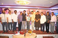 Julayi Double Platinum Disc Function Photos